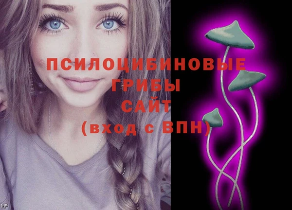 дживик Каменка