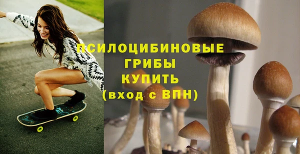 первитин Белоозёрский