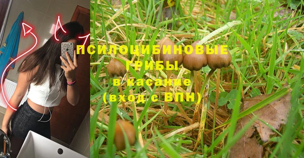 первитин Белоозёрский