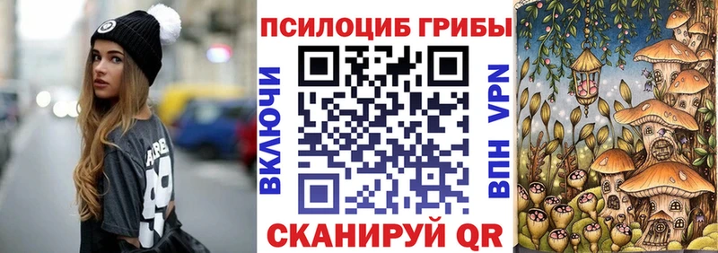 Псилоцибиновые грибы мухоморы  mega ССЫЛКА  Дрезна 